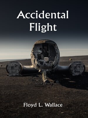 cover image of Accidental Flight